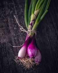 Spring Onion